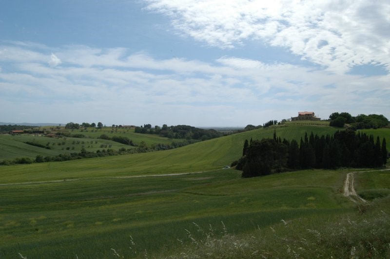 BIBBONA CAMPAGNA
